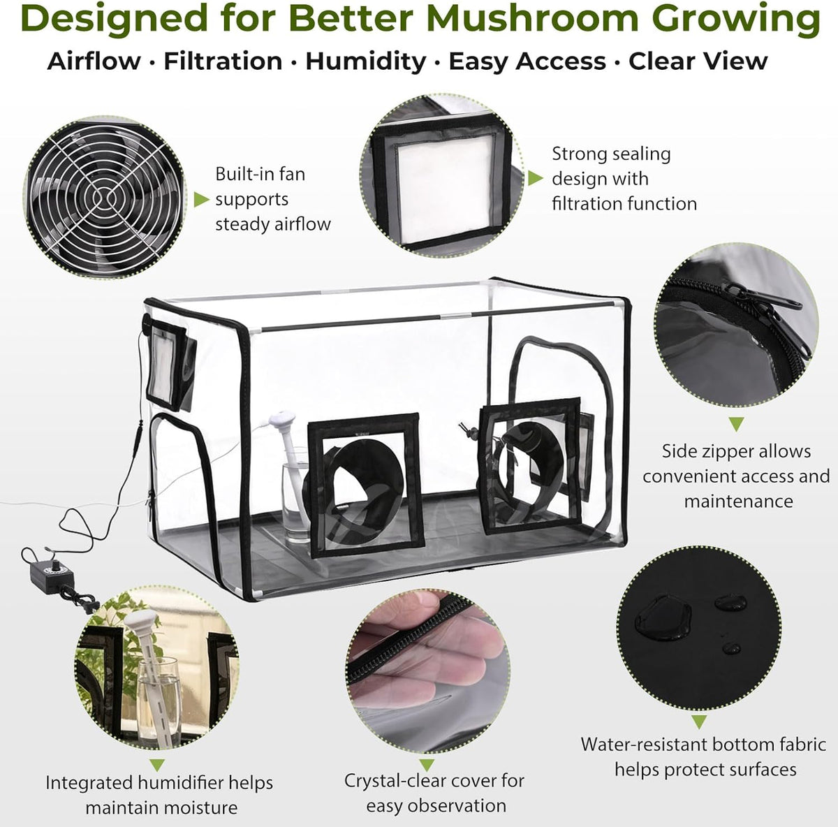 InnovifyHub Tabletop Mushroom Growing Tent Kit