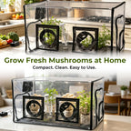 InnovifyHub Tabletop Mushroom Growing Tent Kit