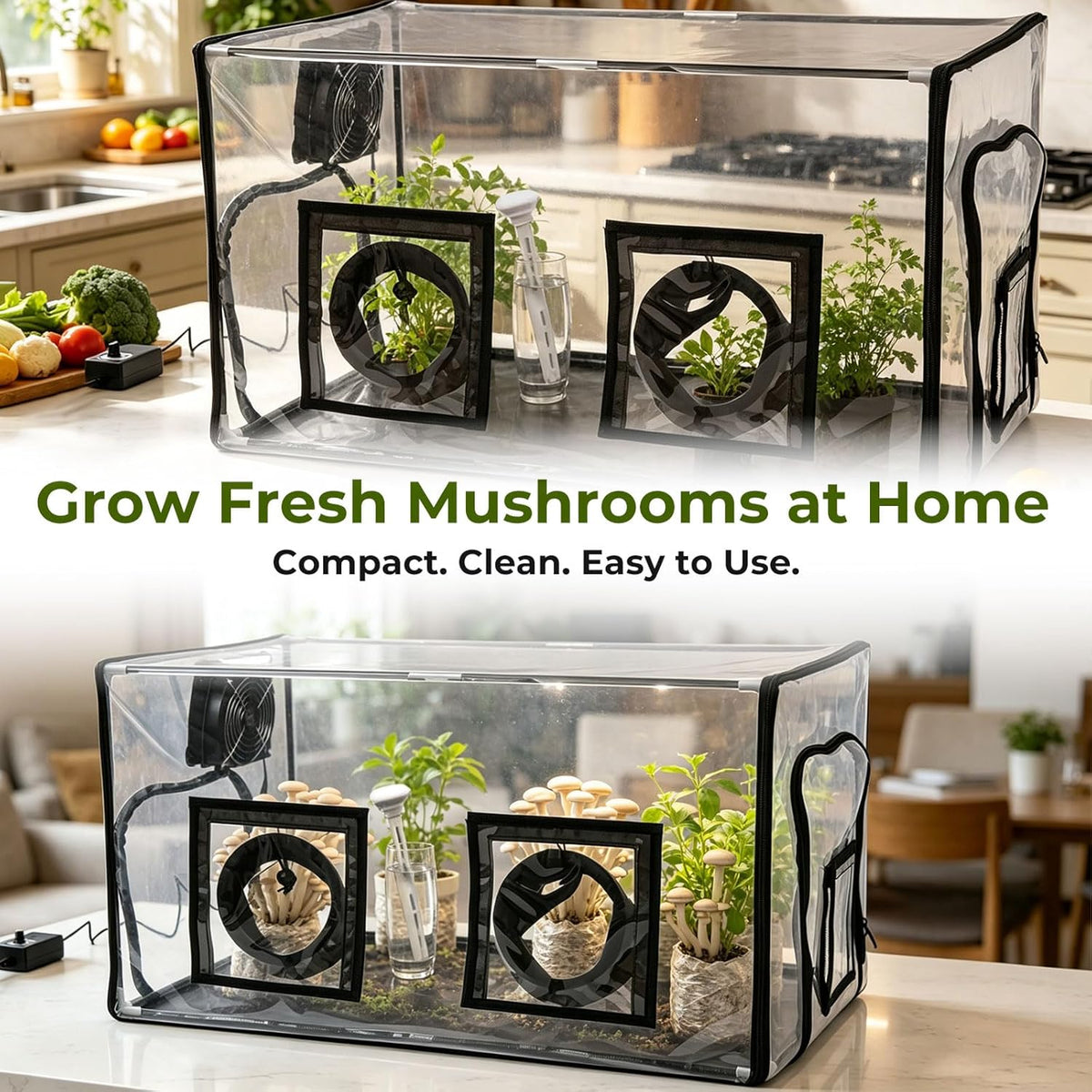 InnovifyHub Tabletop Mushroom Growing Tent Kit
